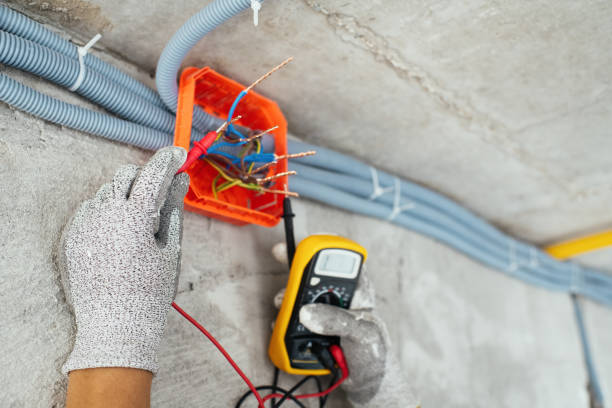 Best Affordable Electrician  in Wekiwa Springs, FL